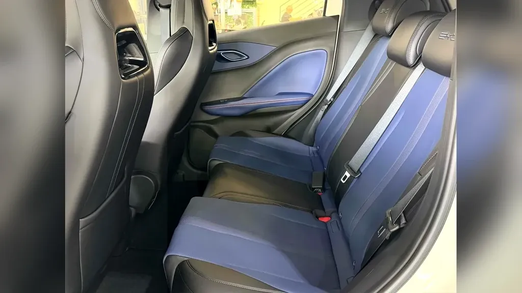 BYD Dolphin Mini - Imagem 14