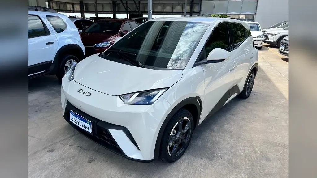 Foto de um byd dolphin mini