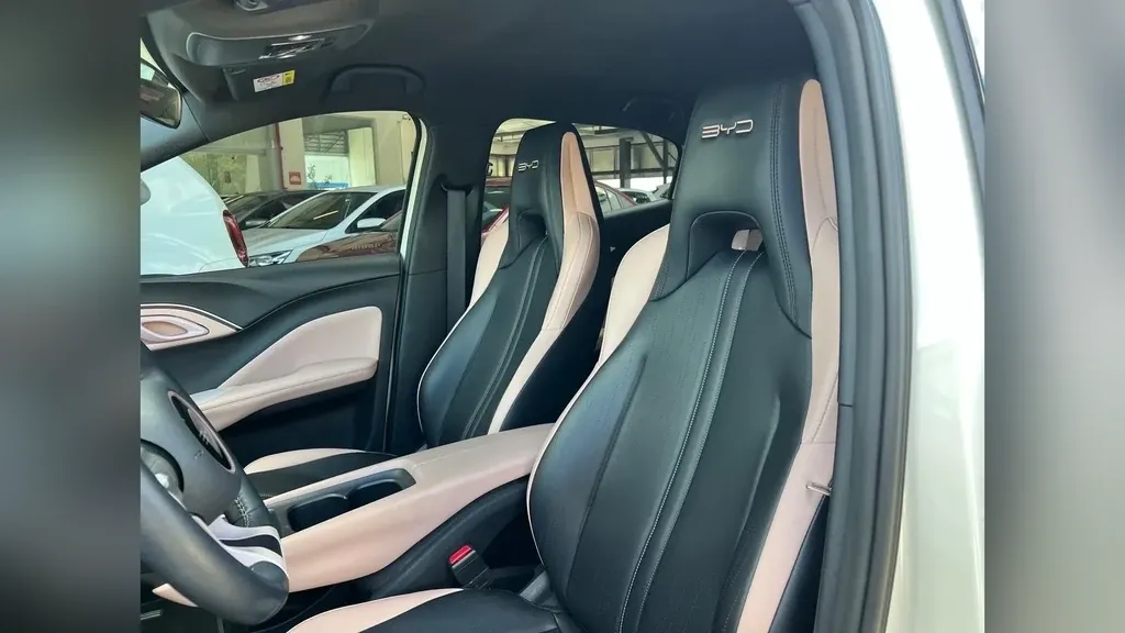 BYD Dolphin Mini - Imagem 15