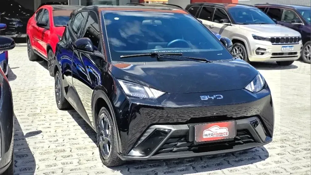 Foto de um byd dolphin mini