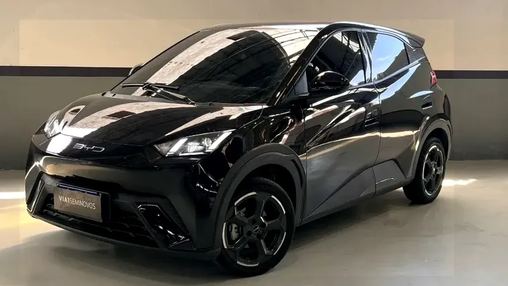 Foto de um byd dolphin mini