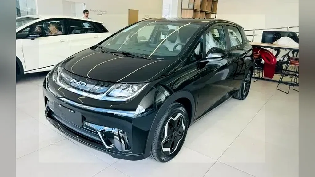 Foto de um byd dolphin