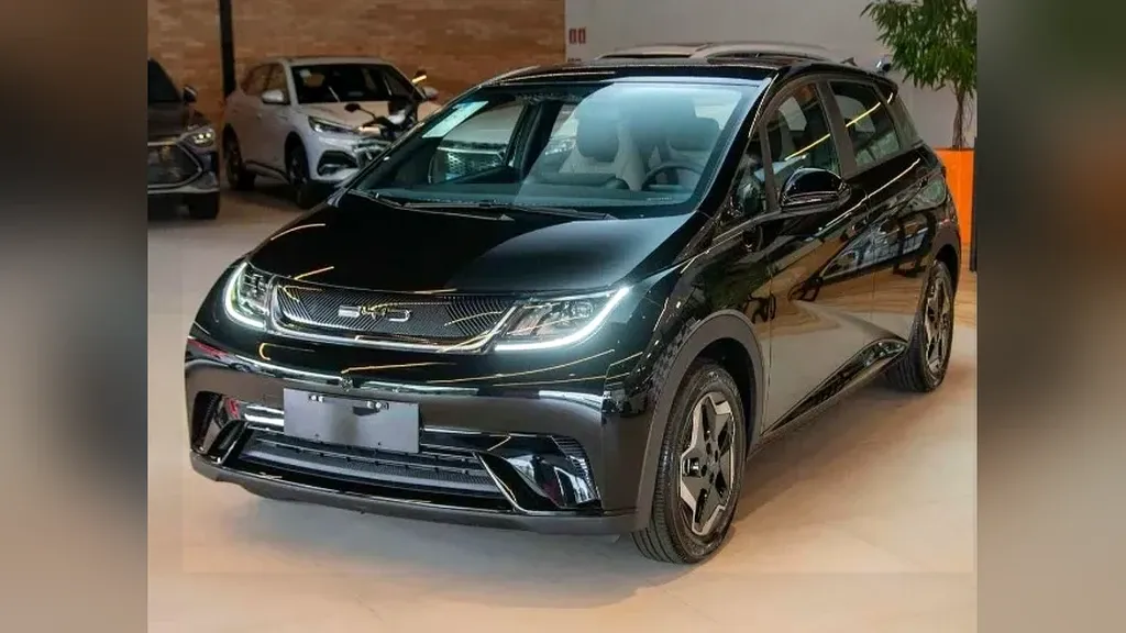 Foto de um byd dolphin