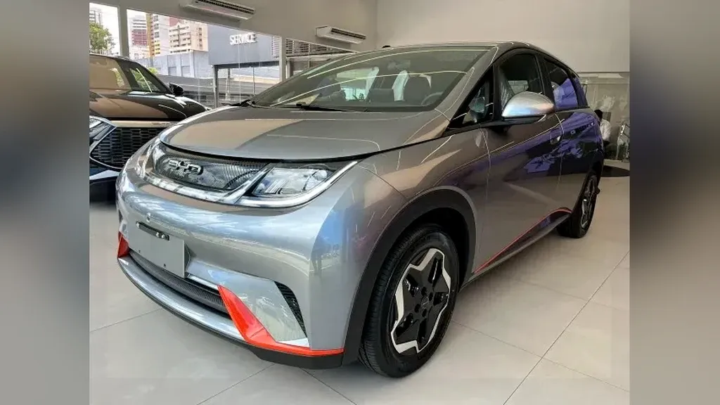 Foto de um byd dolphin