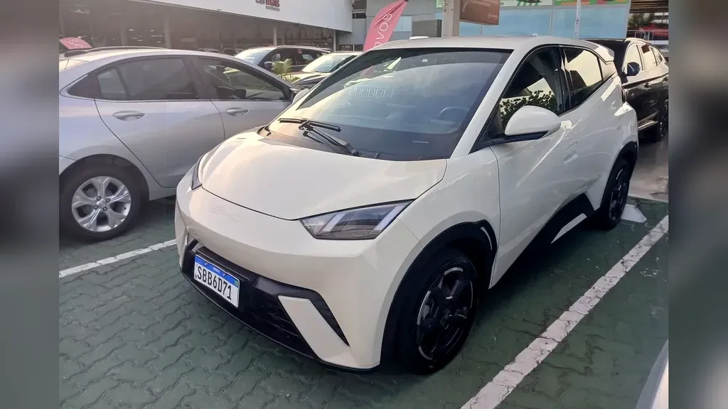 Foto de um byd dolphin mini