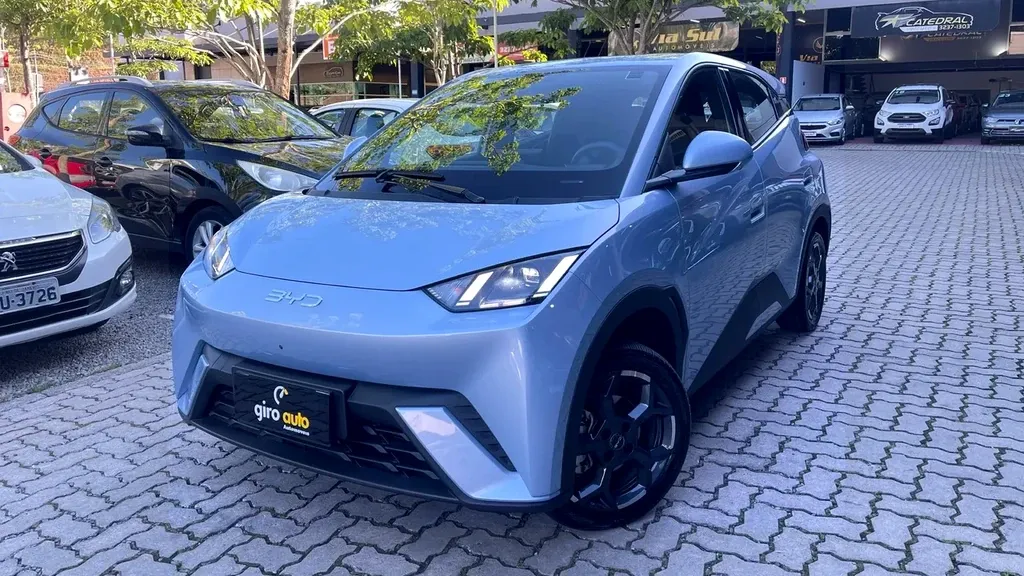 Foto de um byd dolphin mini