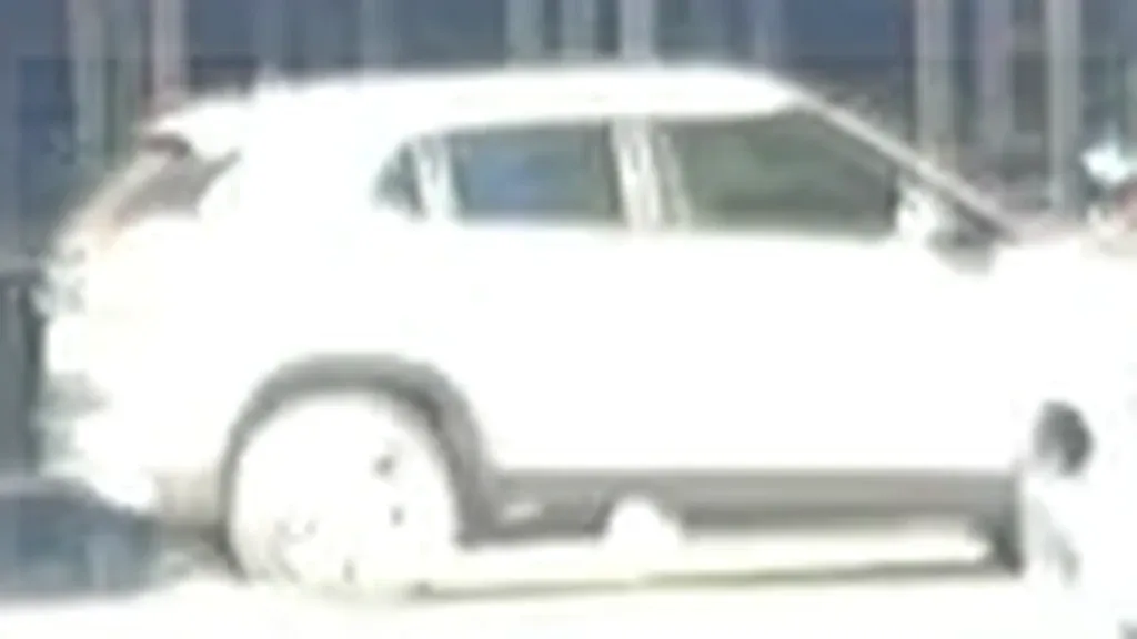 BYD Dolphin Mini - Imagem 12