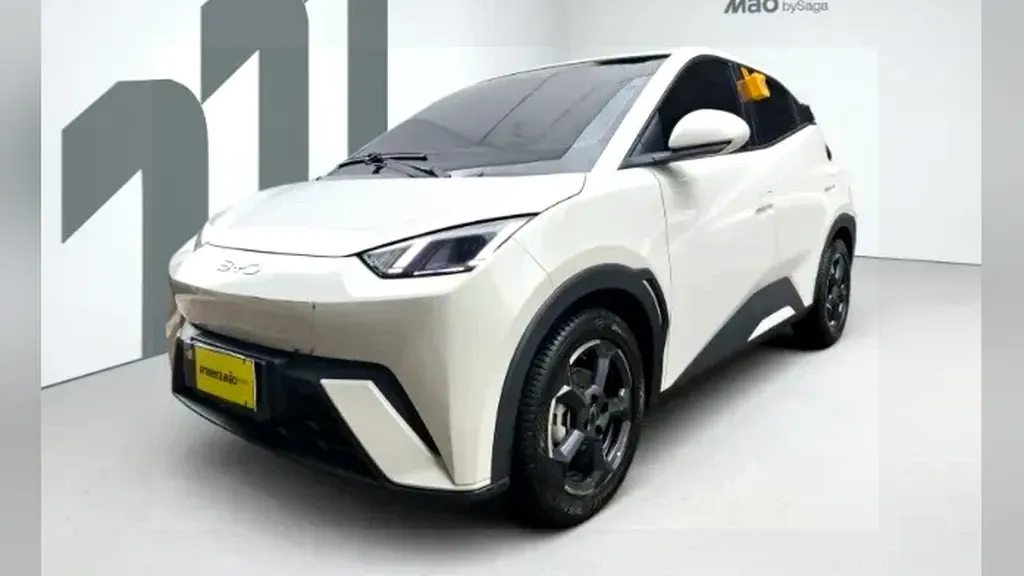 Foto de um byd dolphin mini