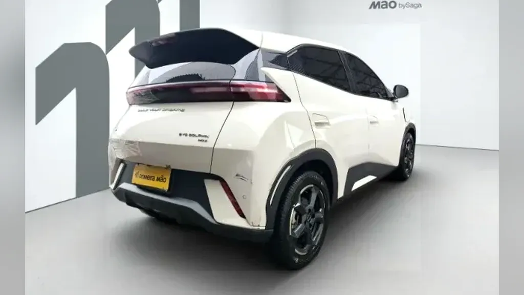 BYD Dolphin Mini - Imagem 11