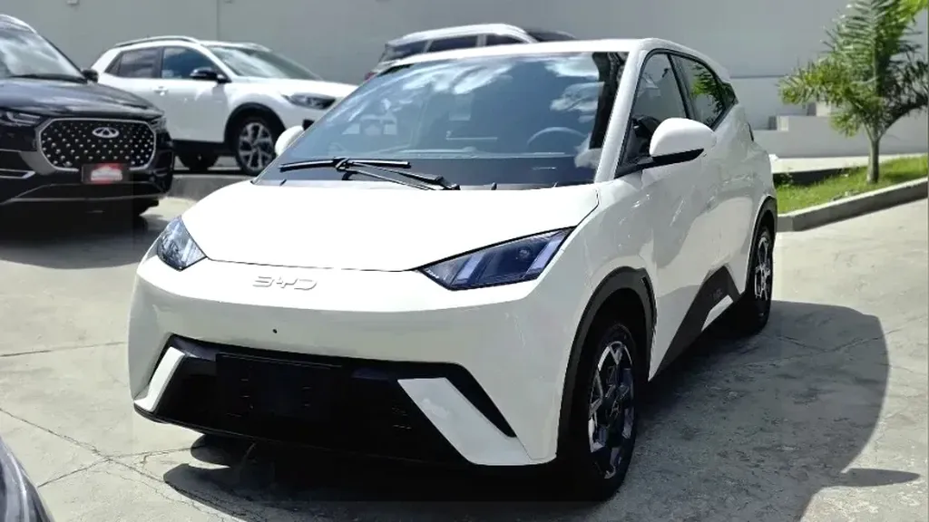 Foto de um byd dolphin mini