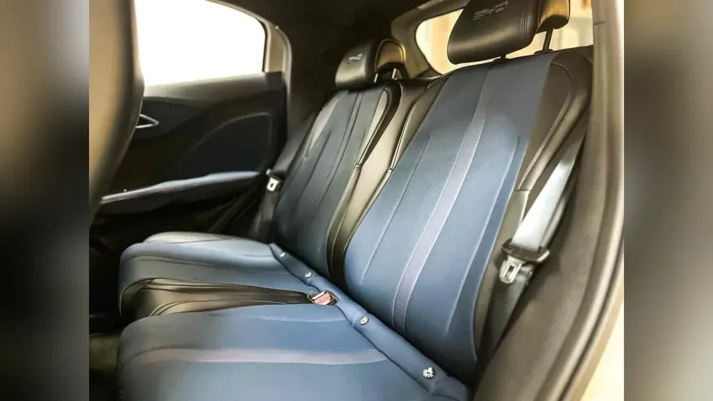 BYD Dolphin Plus - Imagem 13