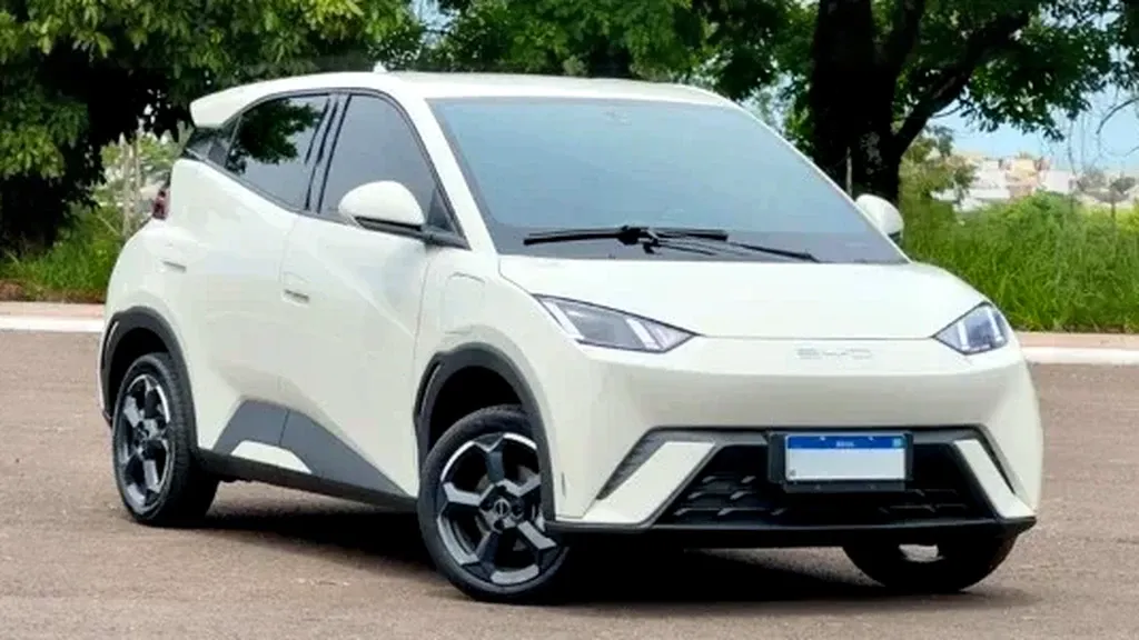 Foto de um byd dolphin mini