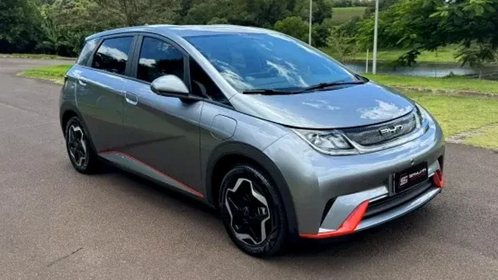 Foto de um byd dolphin