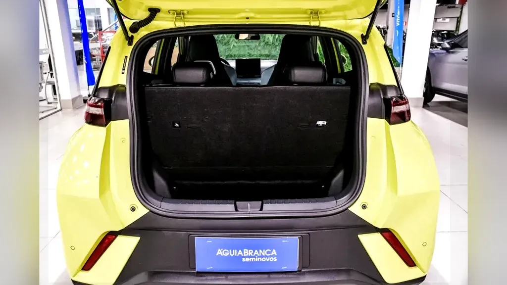 BYD Dolphin Mini - Imagem 11