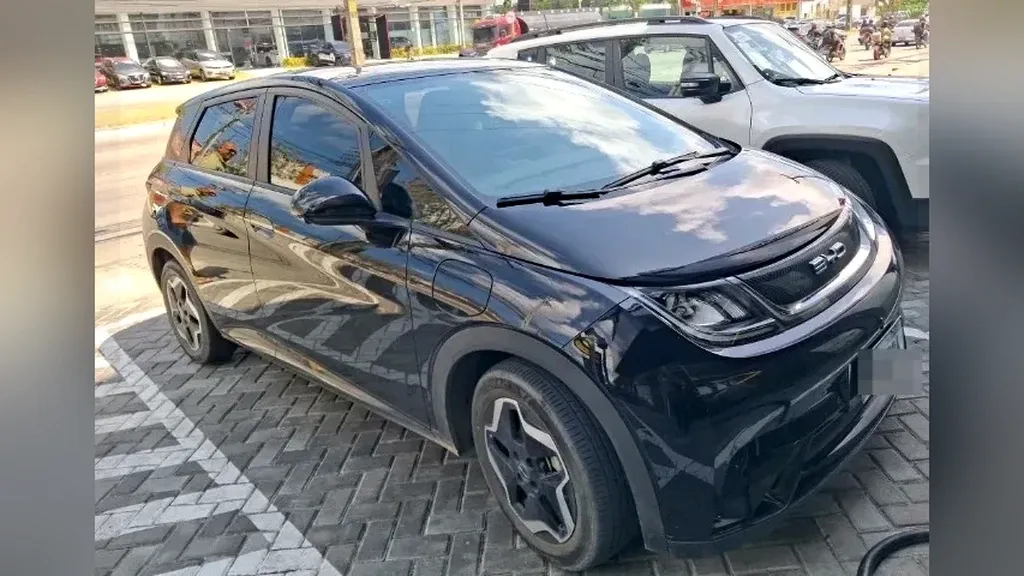 Foto de um byd dolphin