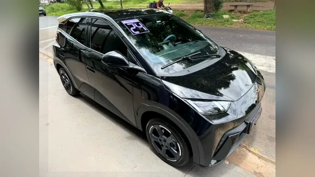 Foto de um byd dolphin mini