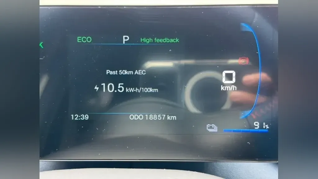 BYD Dolphin Mini - Imagem 11