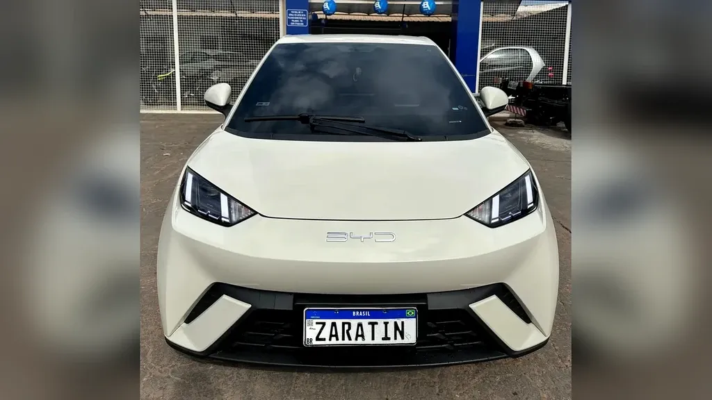 Foto de um byd dolphin mini