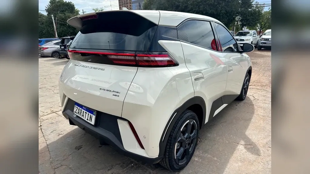 BYD Dolphin Mini - Imagem 14