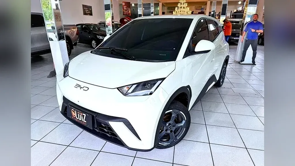 Foto de um byd dolphin mini