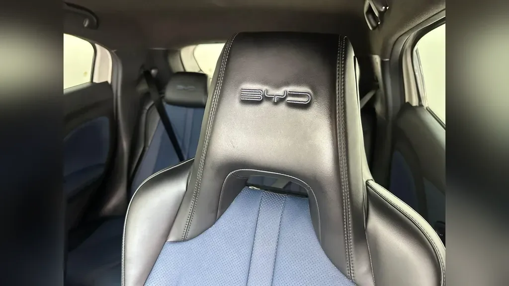 BYD Dolphin Mini - Imagem 20