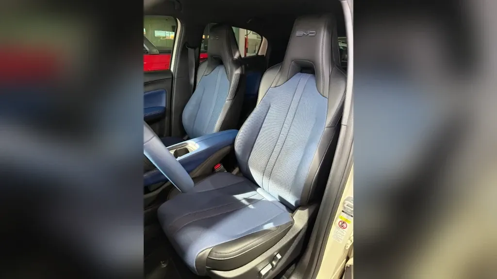 BYD Dolphin Mini - Imagem 11