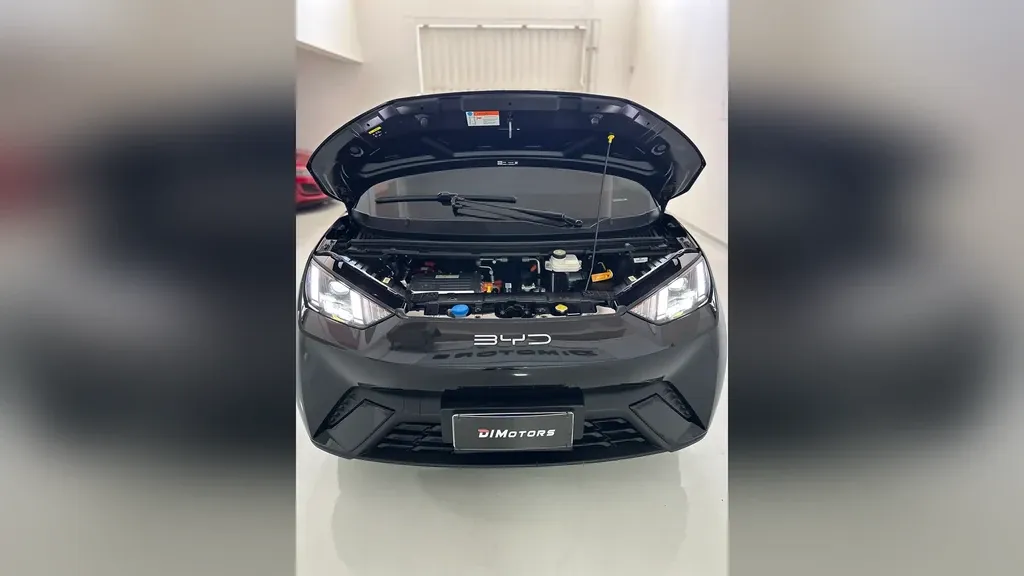 BYD Dolphin Mini - Imagem 8