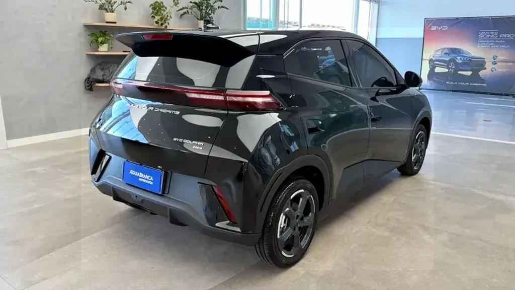 BYD Dolphin Mini - Imagem 10