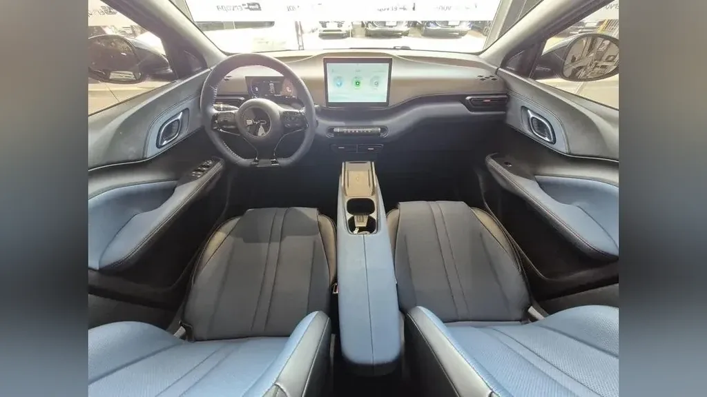 BYD Dolphin Mini - Imagem 18