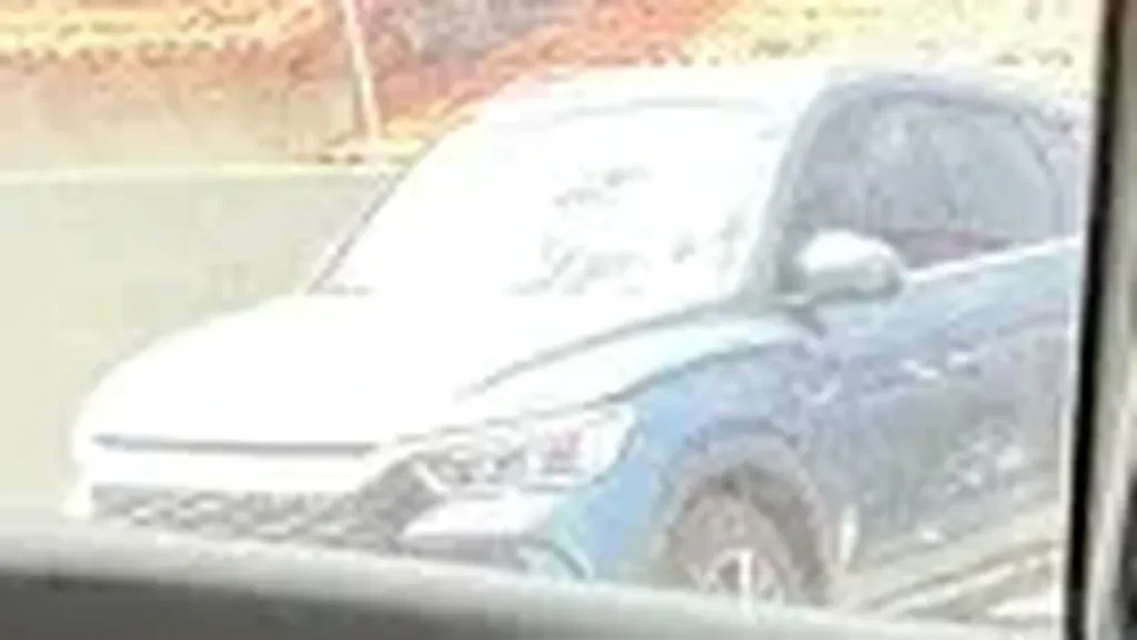 BYD Dolphin Mini - Imagem 11