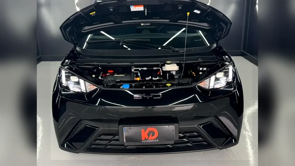 BYD Dolphin - Imagem 17