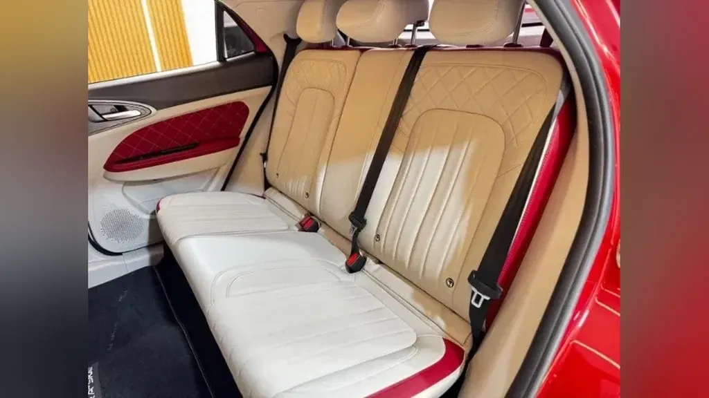 GWM Ora 03 - Imagem 16