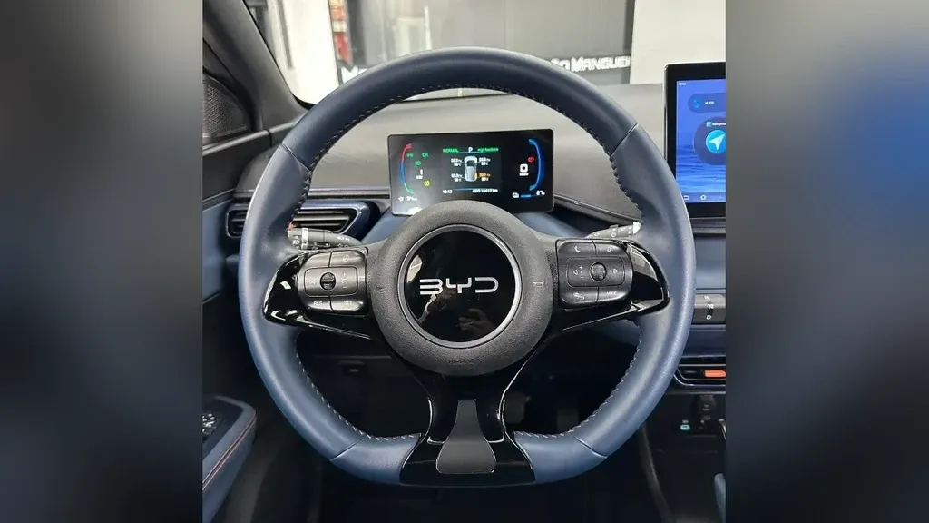 BYD Dolphin Mini - Imagem 6