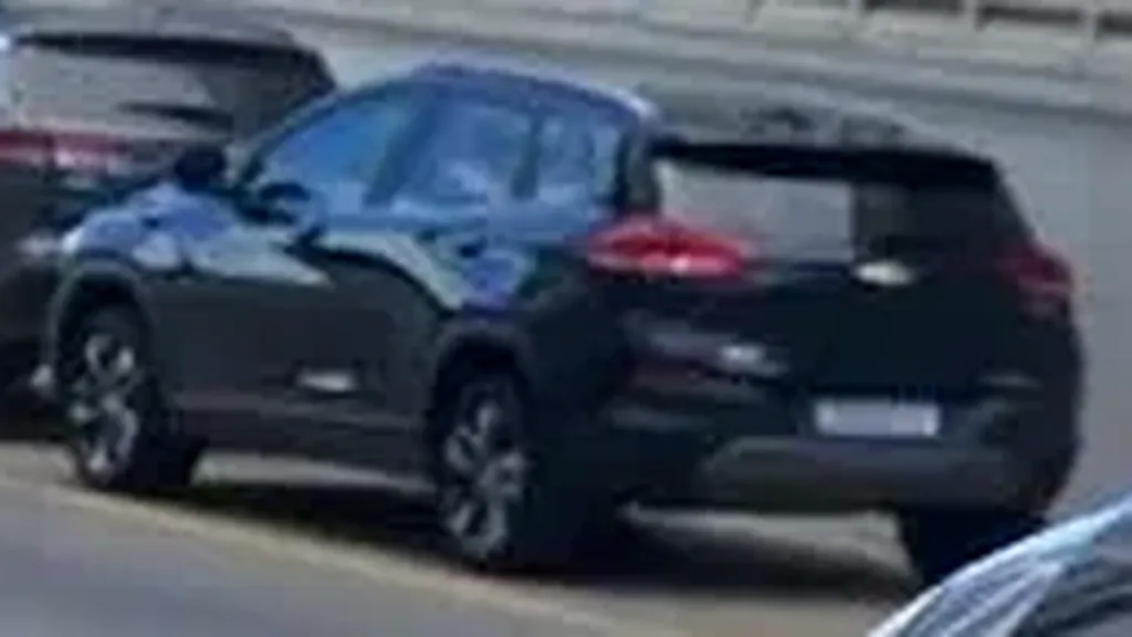 GWM Ora 03 - Imagem 12