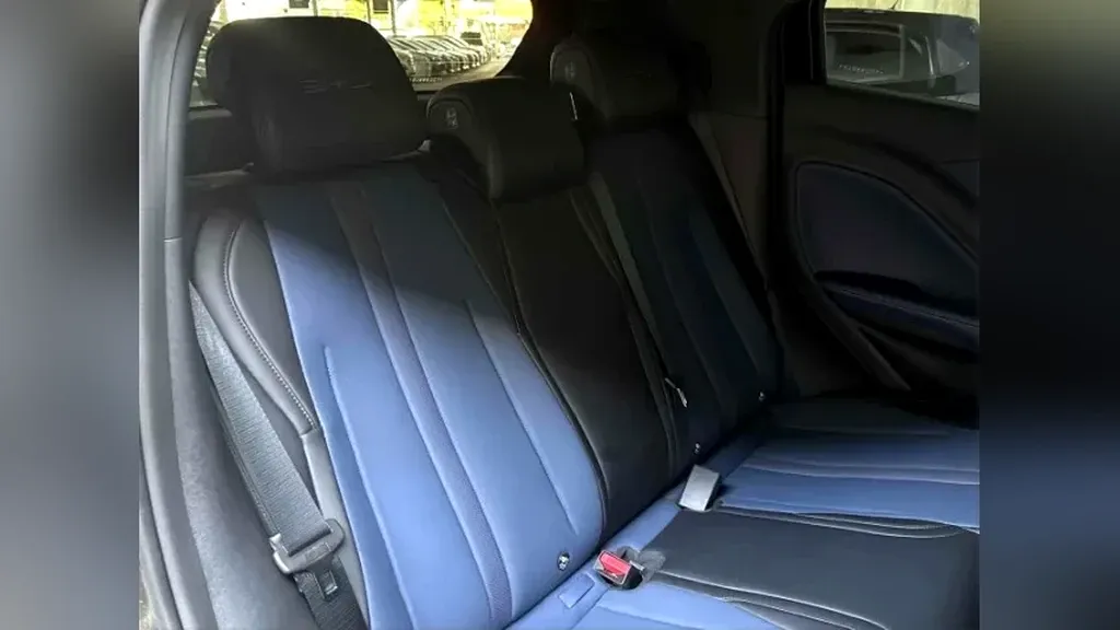 BYD Dolphin Mini - Imagem 14