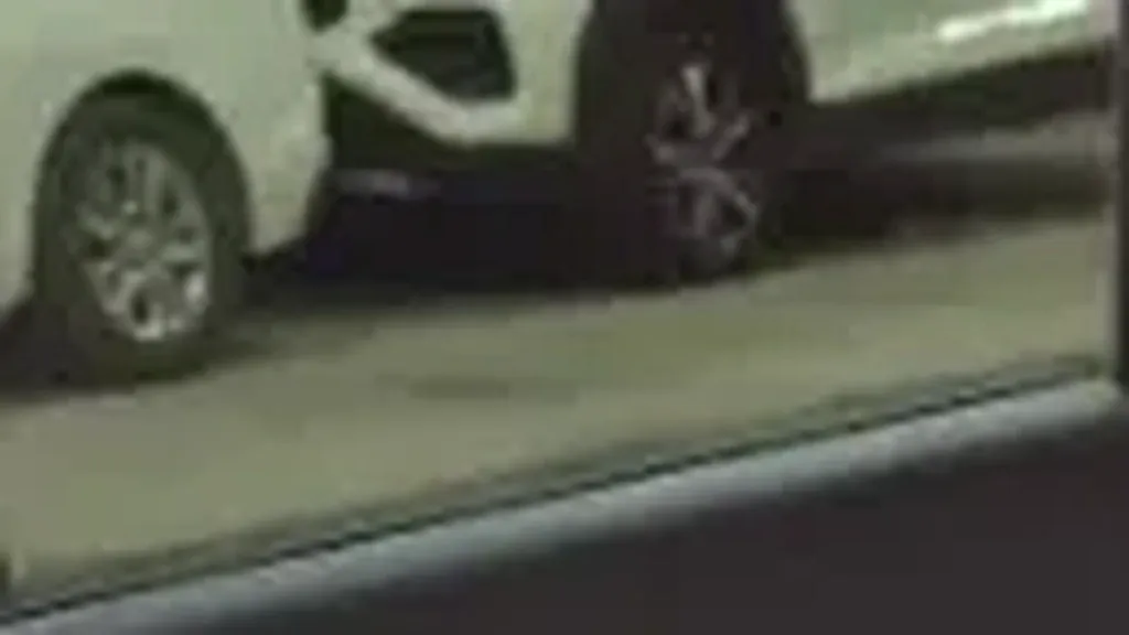 BYD Dolphin Mini - Imagem 17