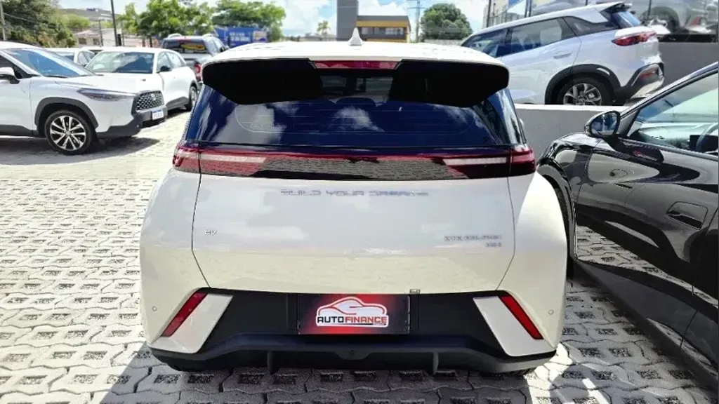BYD Dolphin Mini - Imagem 14