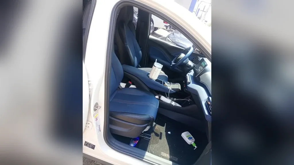 BYD Dolphin Mini - Imagem 7