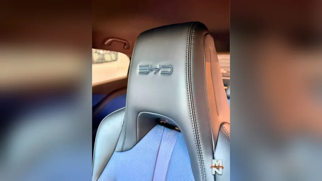 BYD Dolphin Mini - Imagem 7