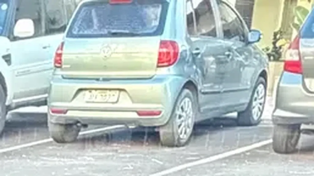 GWM Ora 03 - Imagem 11