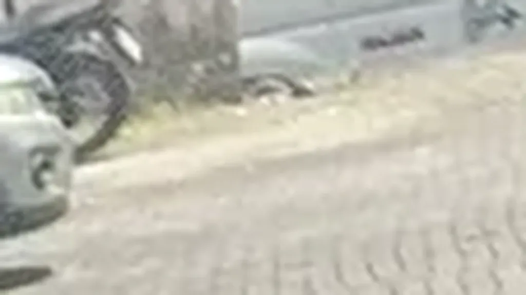 Renault Megane E-tech Electric - Imagem 8