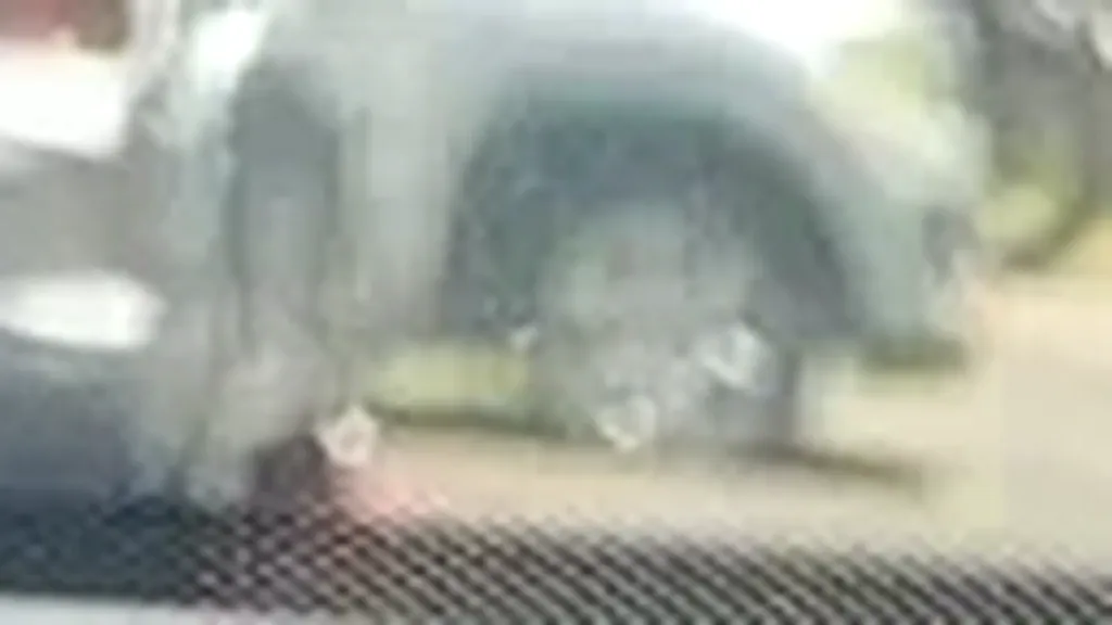 Renault Megane E-tech Electric - Imagem 11