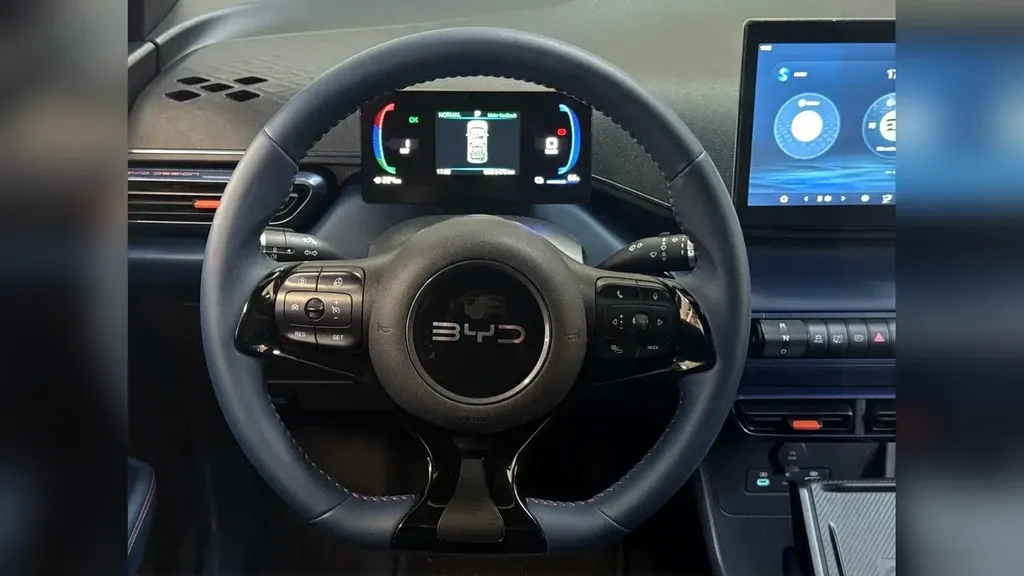 BYD Dolphin Mini - Imagem 13