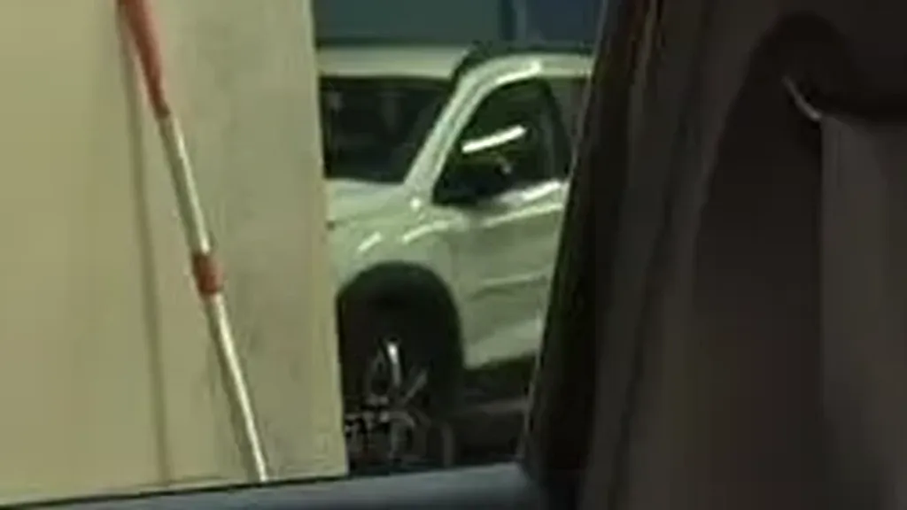 BYD Dolphin Mini - Imagem 18