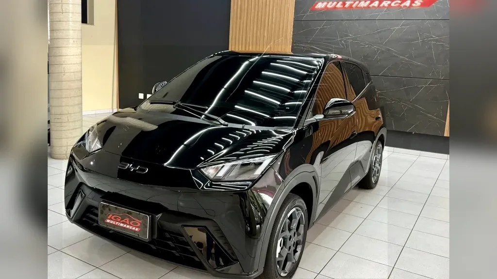 BYD Dolphin Mini - Imagem 3