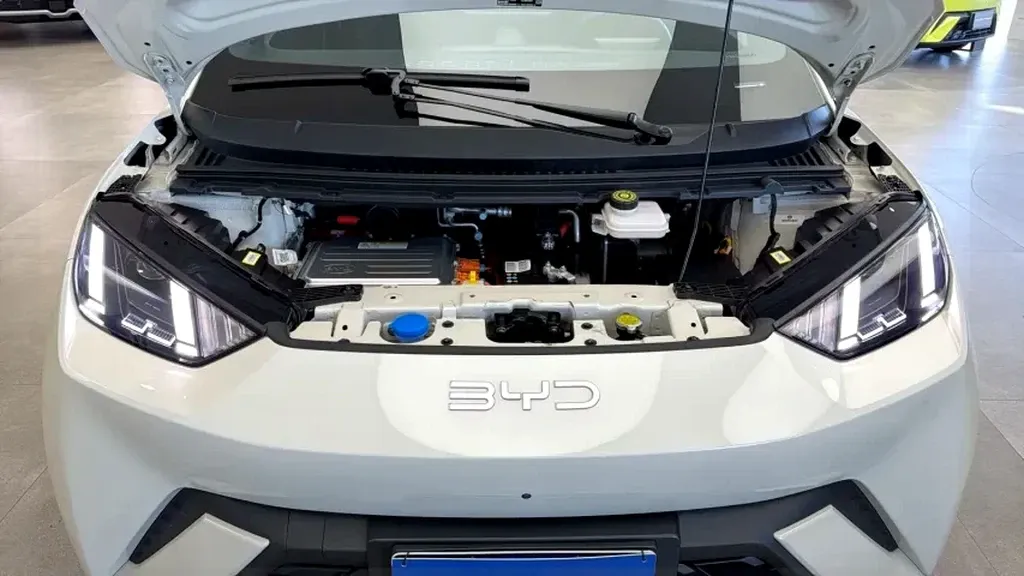 BYD Dolphin Mini - Imagem 5