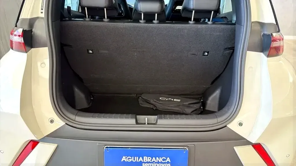 BYD Dolphin Mini - Imagem 10