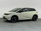BYD Dolphin - Miniatura 1