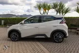 BYD Dolphin Mini - Miniatura 4