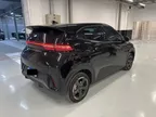 BYD Dolphin Mini - Miniatura 2